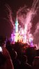Wishes.jpg