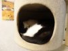 DSC03399.JPG