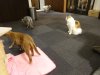 DSC03400.JPG