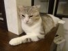 DSC03403.JPG