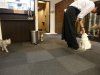 DSC03406.JPG