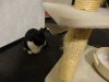 DSC03410.JPG