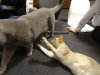 DSC03417.JPG