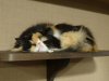 DSC03428.JPG