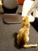 DSC03423.JPG