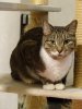 DSC03413.JPG