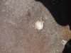DSCF6853.JPG