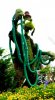 Goofy topiary.jpg
