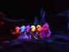 DSCF6873.JPG