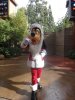 DSC03023small.jpg