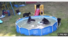 Screenshot_2015-08-22-09-04-24-1.png