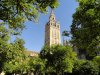 La Giralda.jpg
