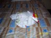 disney 2009 066.JPG