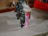 DSC03453.JPG