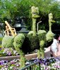 ostriches topiaries.jpg