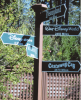 disney sign.PNG