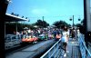 7-10-2010_027A.jpg