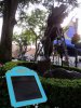 DSC09059.JPG