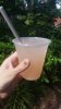 Coconut-Lychee Lemonade.jpg