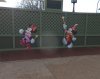 IMGP0177.JPG