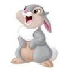 Thumper.jpeg