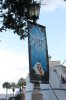 8-11-2015 - 8-19-2015 DISNEY 117.JPG