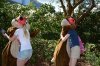 wdw2015-023small.jpg