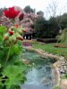 DSC09083.JPG