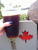 DSC09096.JPG