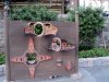 DSC09098.JPG