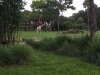 IMG_0611.JPG