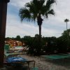 IMG_20150715_094002.jpg