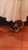 badshoe.jpg