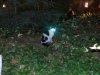 upload_2015-9-6_18-3-30.jpeg