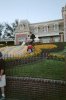 flowers@disneyland.JPG