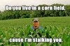 corny.jpg