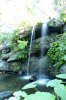 Oasis waterfall.jpg