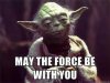 yoda.jpg