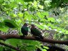 IMG_1724.JPG