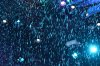 DSC_5159.JPG