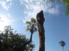 Optimized-DSCF1222.JPG