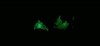 WP_20150912_16_41_31_Pro_opt.jpg
