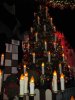 IASW Tree.jpg