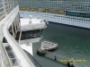 SDC14204.JPG