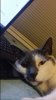 20150919_210642.jpg