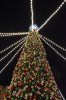 DSC_4700.JPG