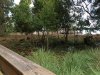 SMALL Dock view from geyser2.jpg