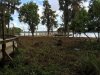 SMALL Boat dock view.jpg