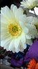 WP_20151003_14_33_48_Pro.jpg