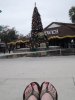 DSC09119.JPG